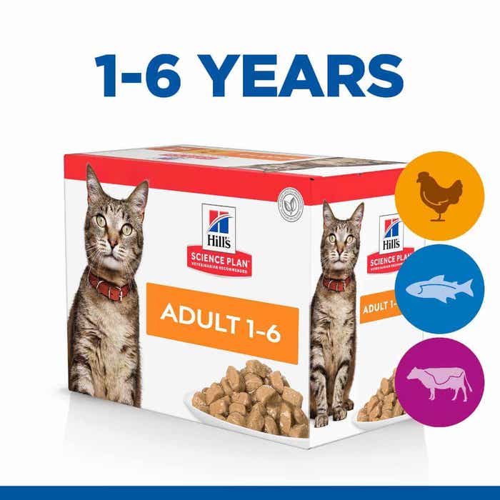 Hill's Science Plan Wet Cat Food - 12x85g Poultry Multipack 1-6 Years