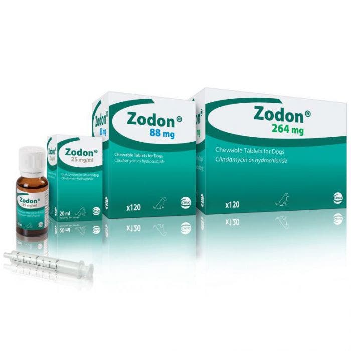 Zodon Chewable Tablet for Dogs