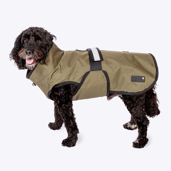 Danish Design Olive 3-in-1 Dog Coat | Animed