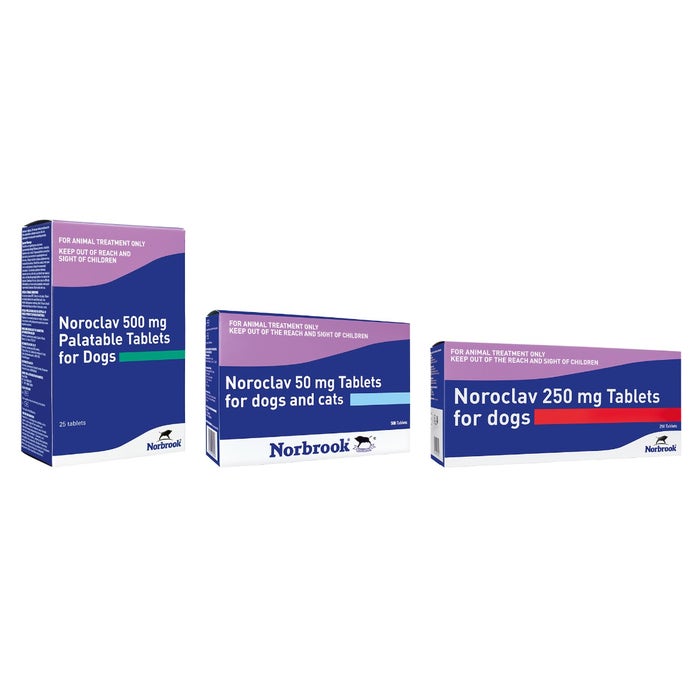 Noroclav Tablets