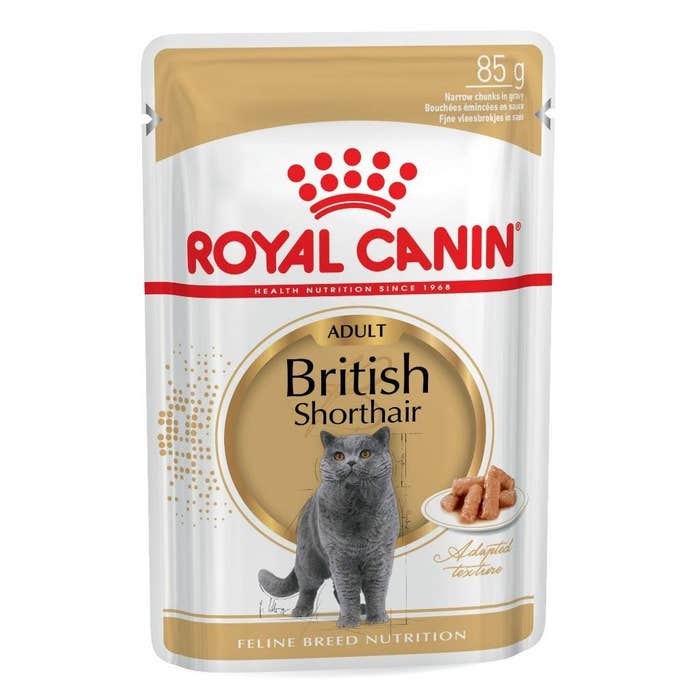Royal Canin British Shorthair Cat Wet Food (in Gravy)