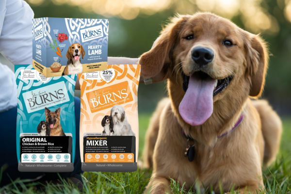 Dog lying down on grass with product pictures of Burns dog food bags