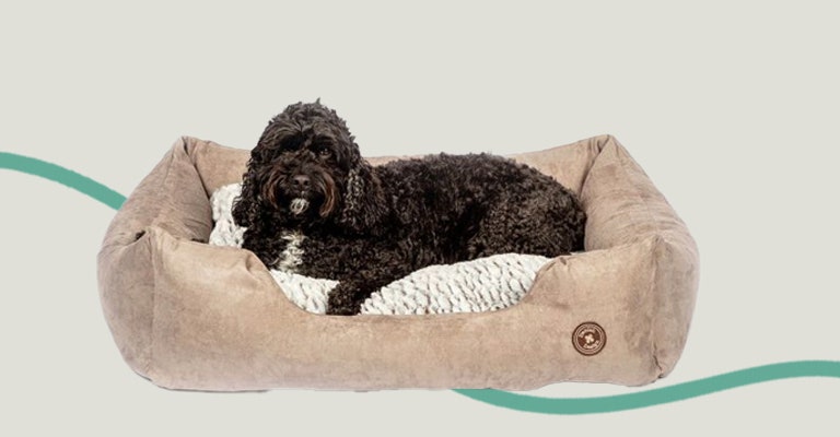 Image of a black fluffy dog lying in a brown Danish Design dog bed