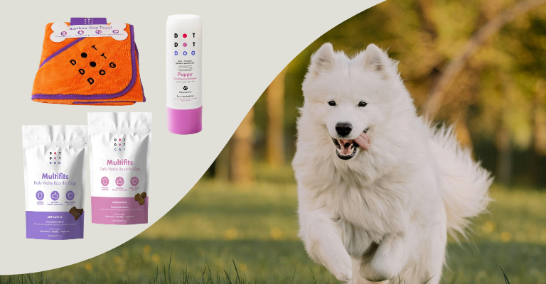 Dog running with product pictures of DotDot Pet Eco products