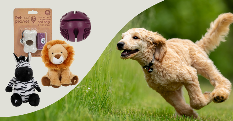 Dog running with product pictures from the PetFace Planet range 