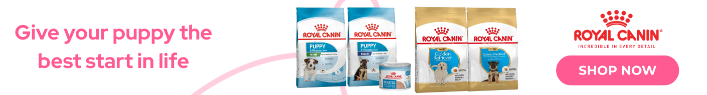 Shop Royal Canin puppy food