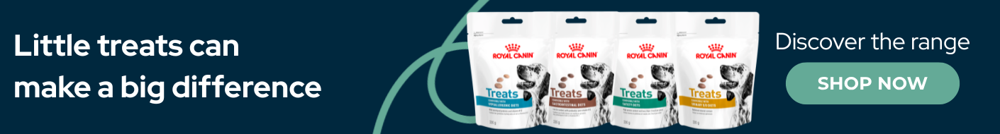 Shop Royal Canin dog treats