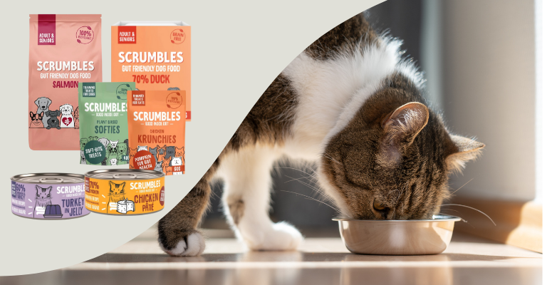 cat eating from a bowl with product pictures of Scrumbles pet food bags