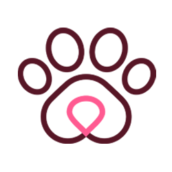 Affordable Pet Care