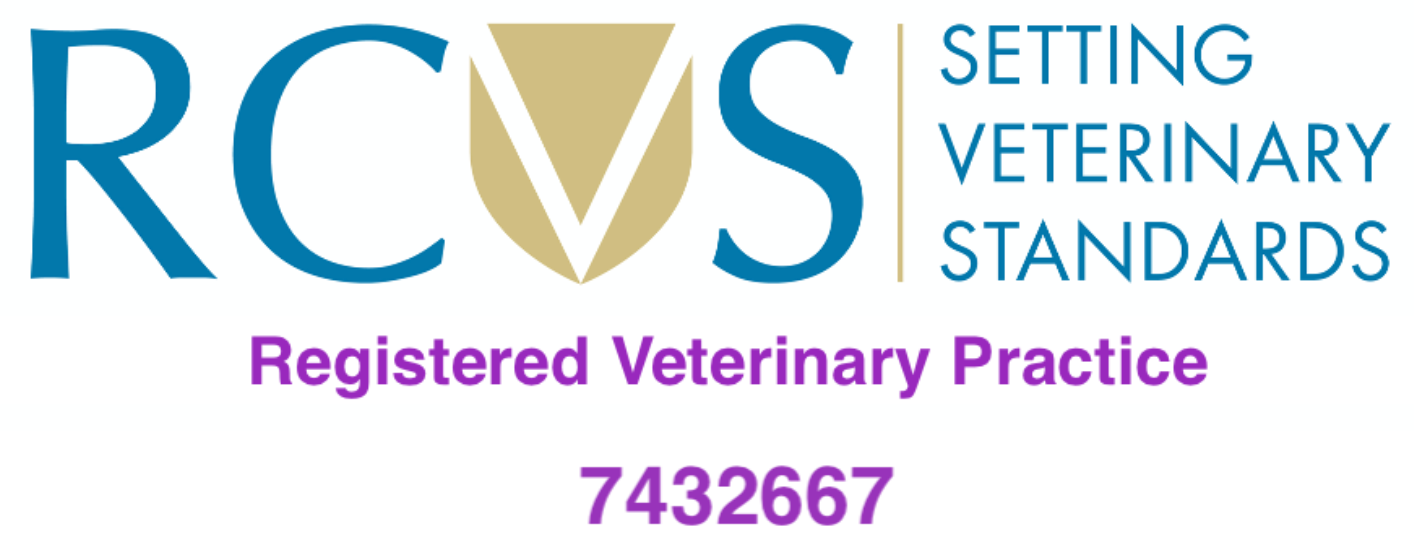 RCVS Accredited Practice